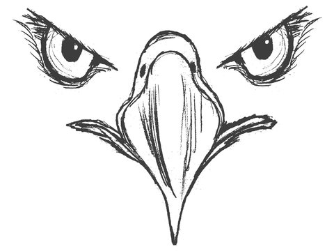 Eagle Drawing Hand drawn Sketch