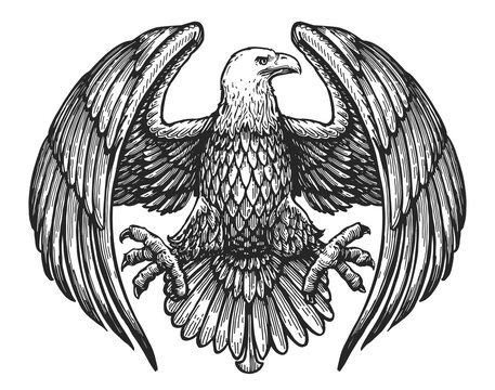Eagle Drawing Intricate Artwork