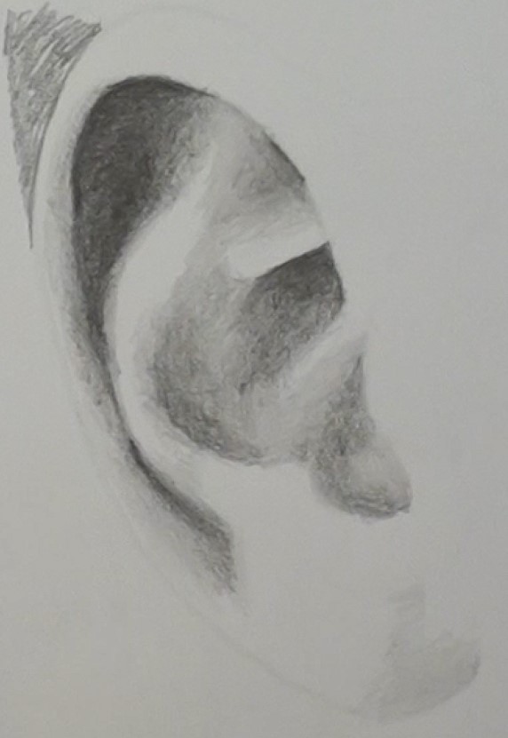 Ear Drawing Artistic Sketching