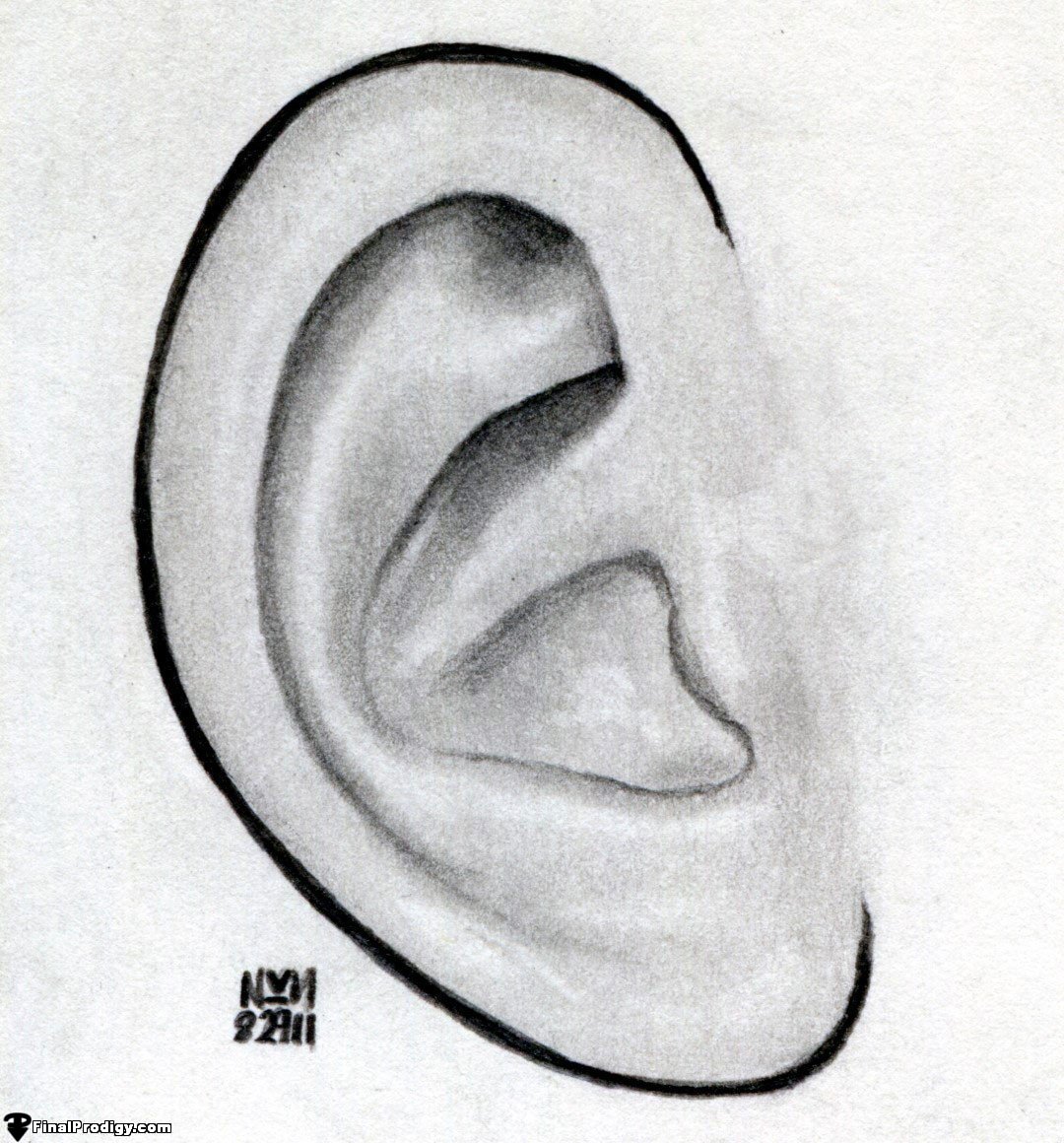Ear Drawing Creative Style