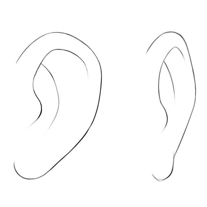 Ear Drawing Hand drawn Sketch