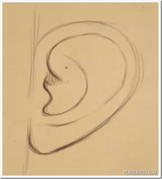 Ear Drawing Modern Sketch