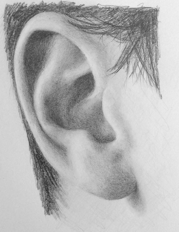 Ear Drawing Realistic Sketch