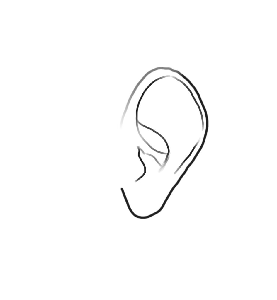 Ear Drawing Sketch
