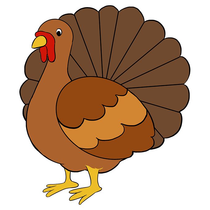 Easy Turkey Drawing Hand Drawn