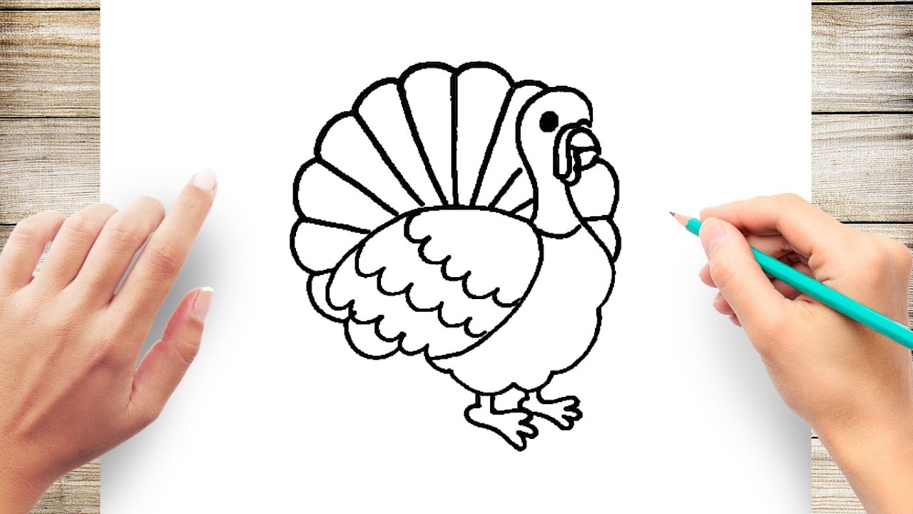 Easy Turkey Drawing Intricate Artwork