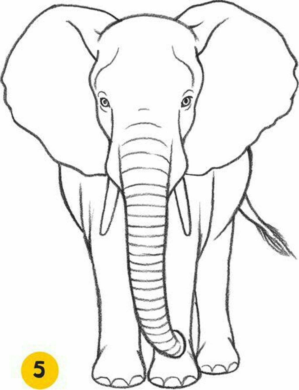 Elephant Simple Drawing Fine Art