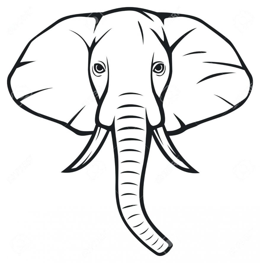 Elephant Simple Drawing Stunning Sketch