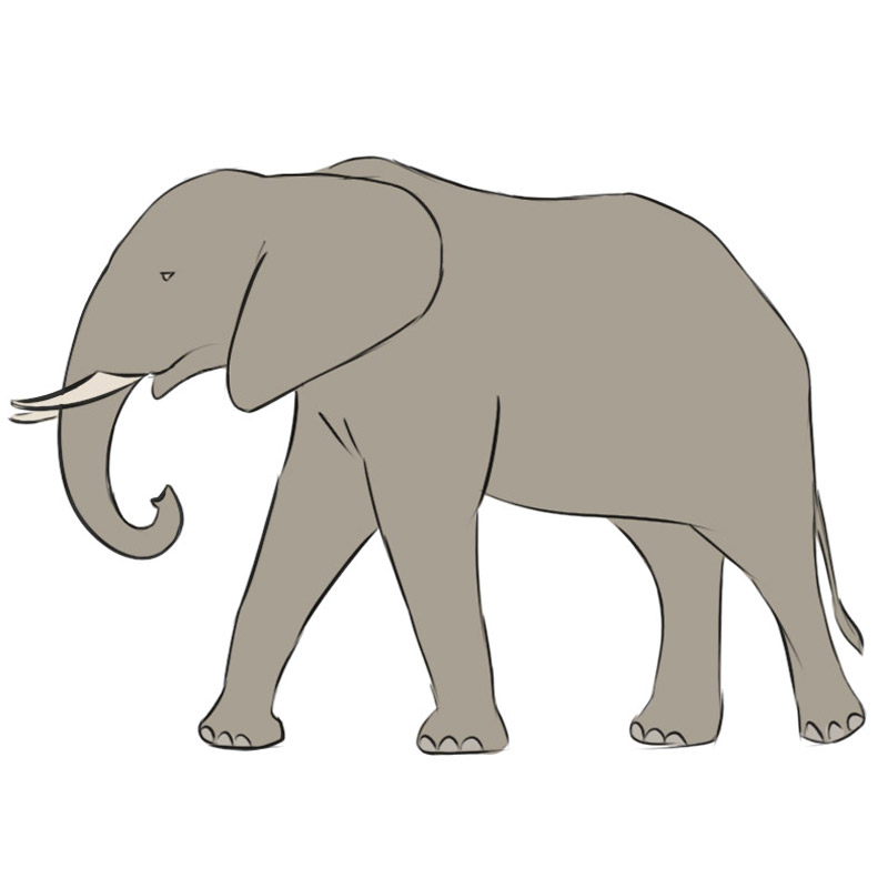 Elephant Simple Drawing
