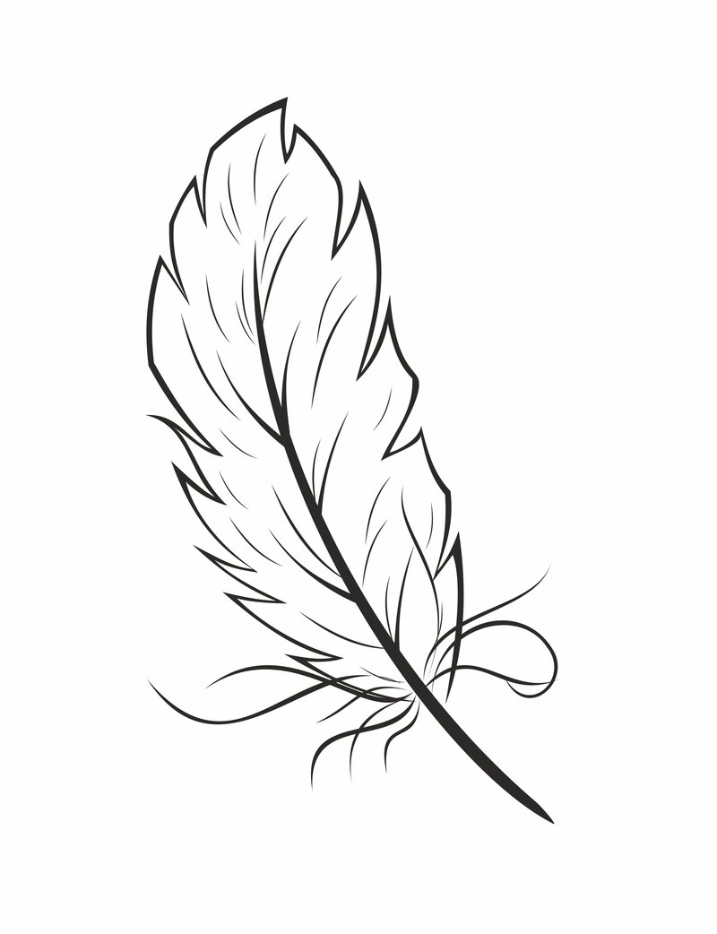 Feather Drawing Creative Style
