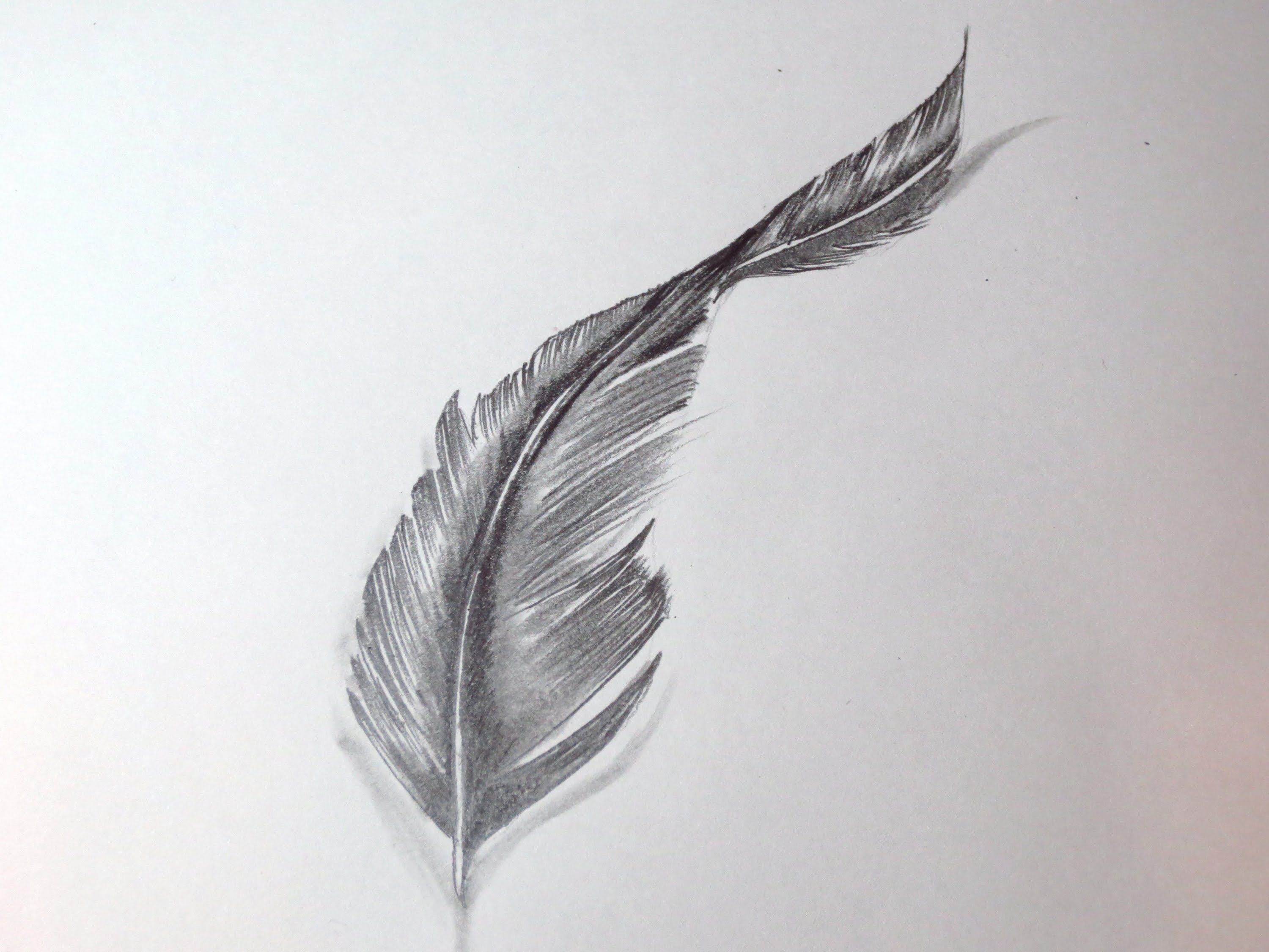 Feather Drawing Hand Drawn Sketch