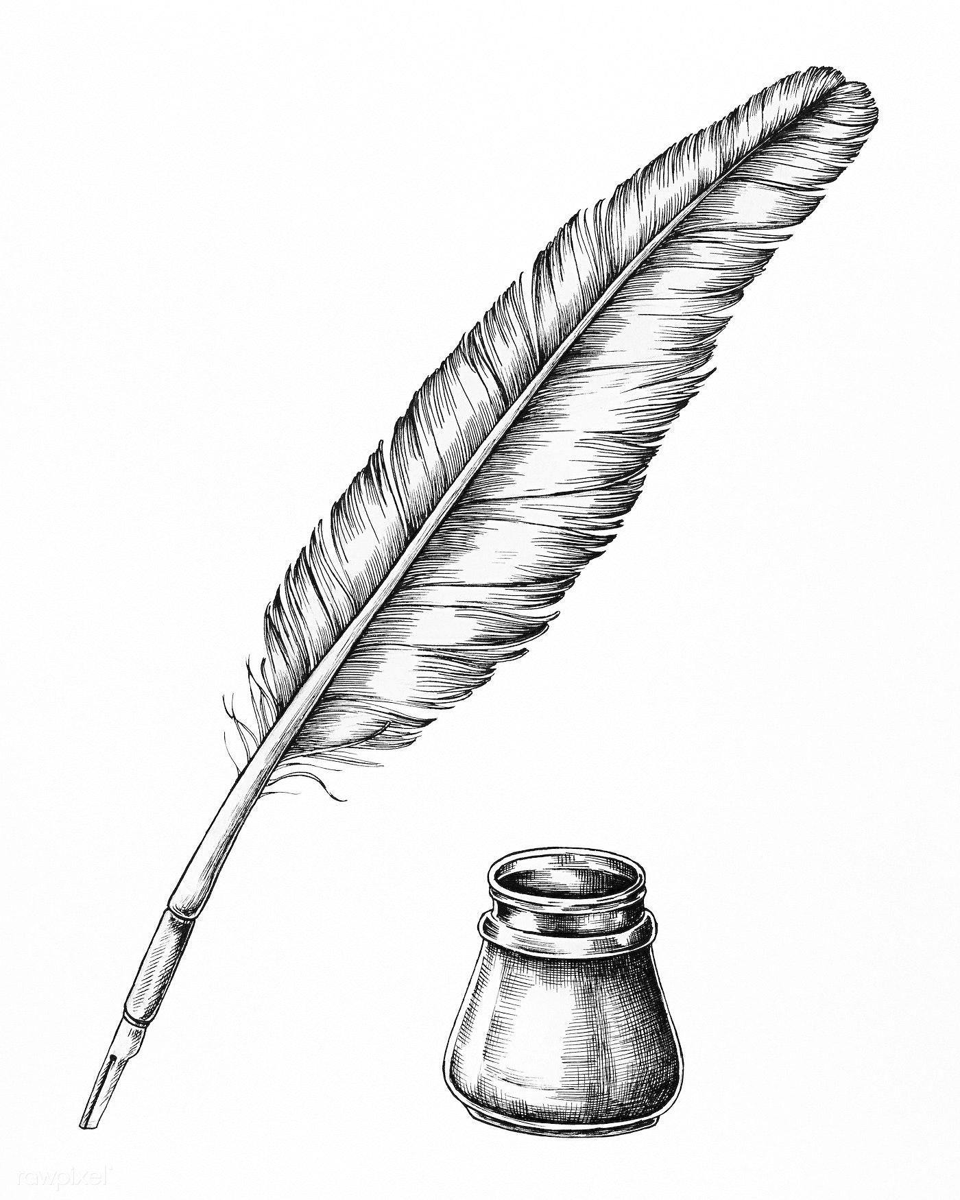 Feather Drawing Photo