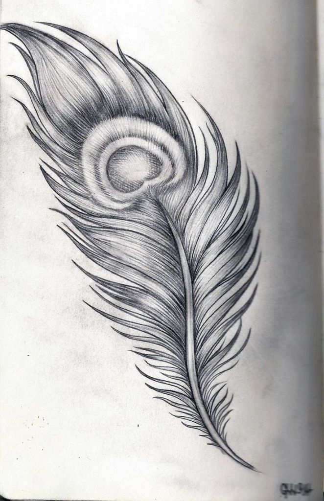 Feather Drawing Unique Art