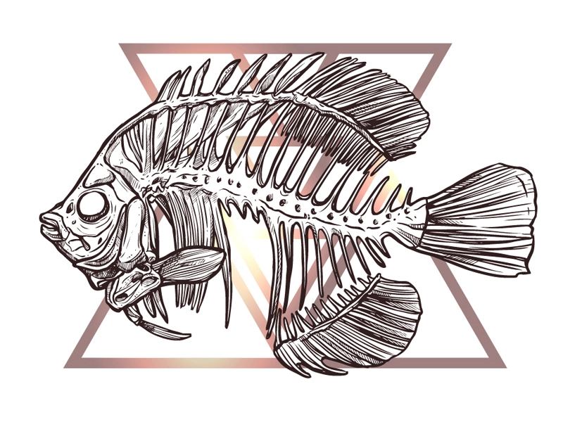 Fish Skeleton Drawing Intricate Artwork