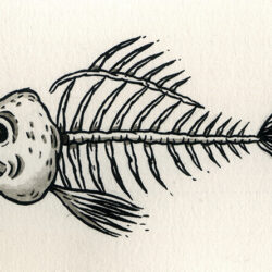 Fish Skeleton Drawing Amazing Sketch - Drawing All