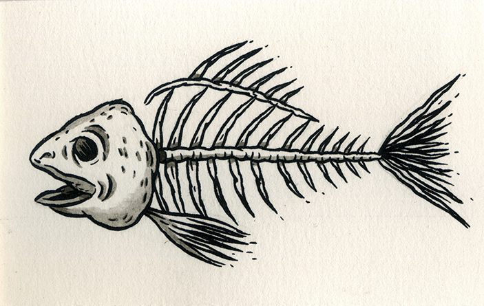 Fish Skeleton Drawing Modern Sketch