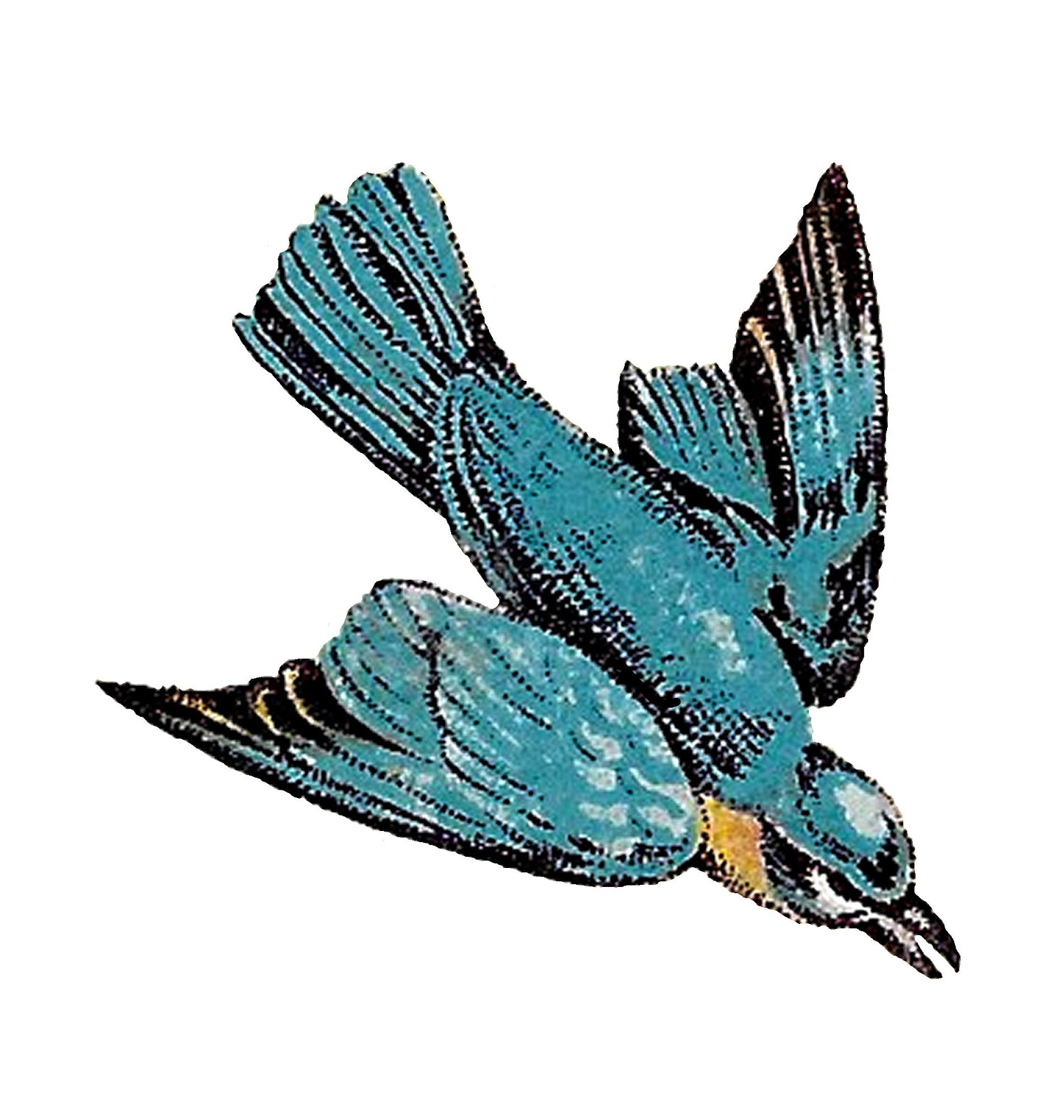 Flying Bird Drawing Art
