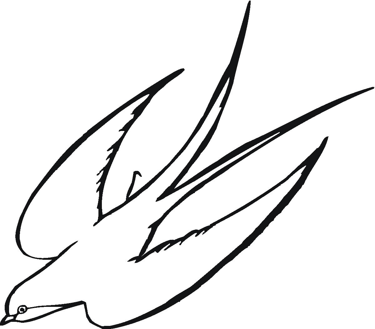 Flying Bird Drawing Creative Style