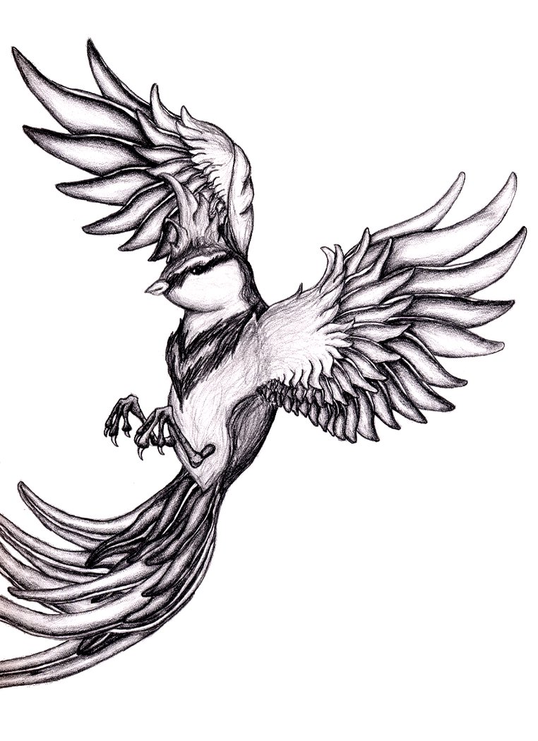 Flying Bird Drawing Image