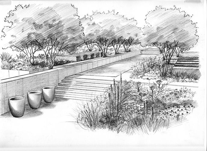 Garden Drawing Realistic Sketch