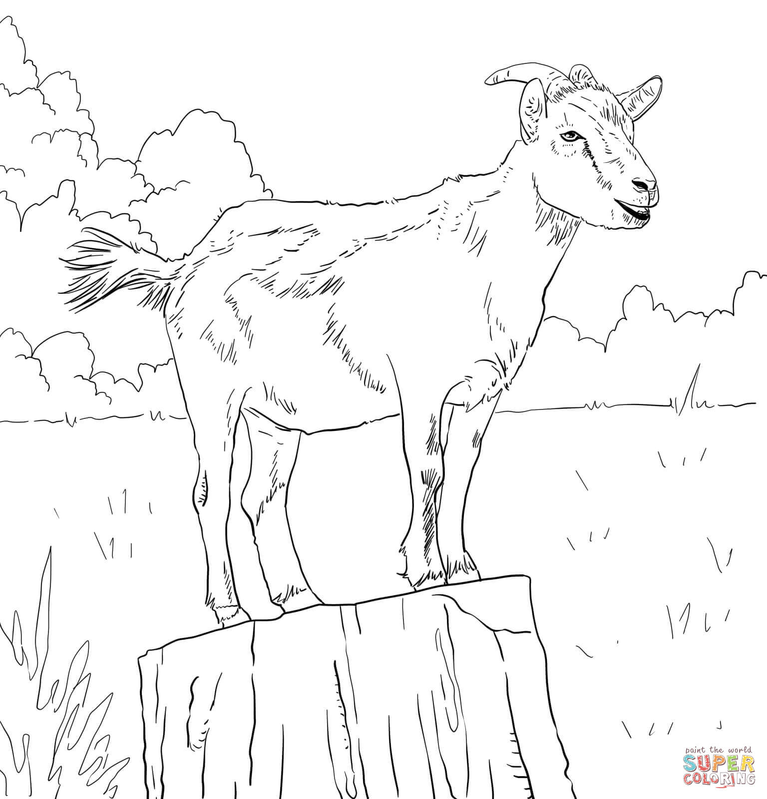 Goat Drawing Detailed Sketch