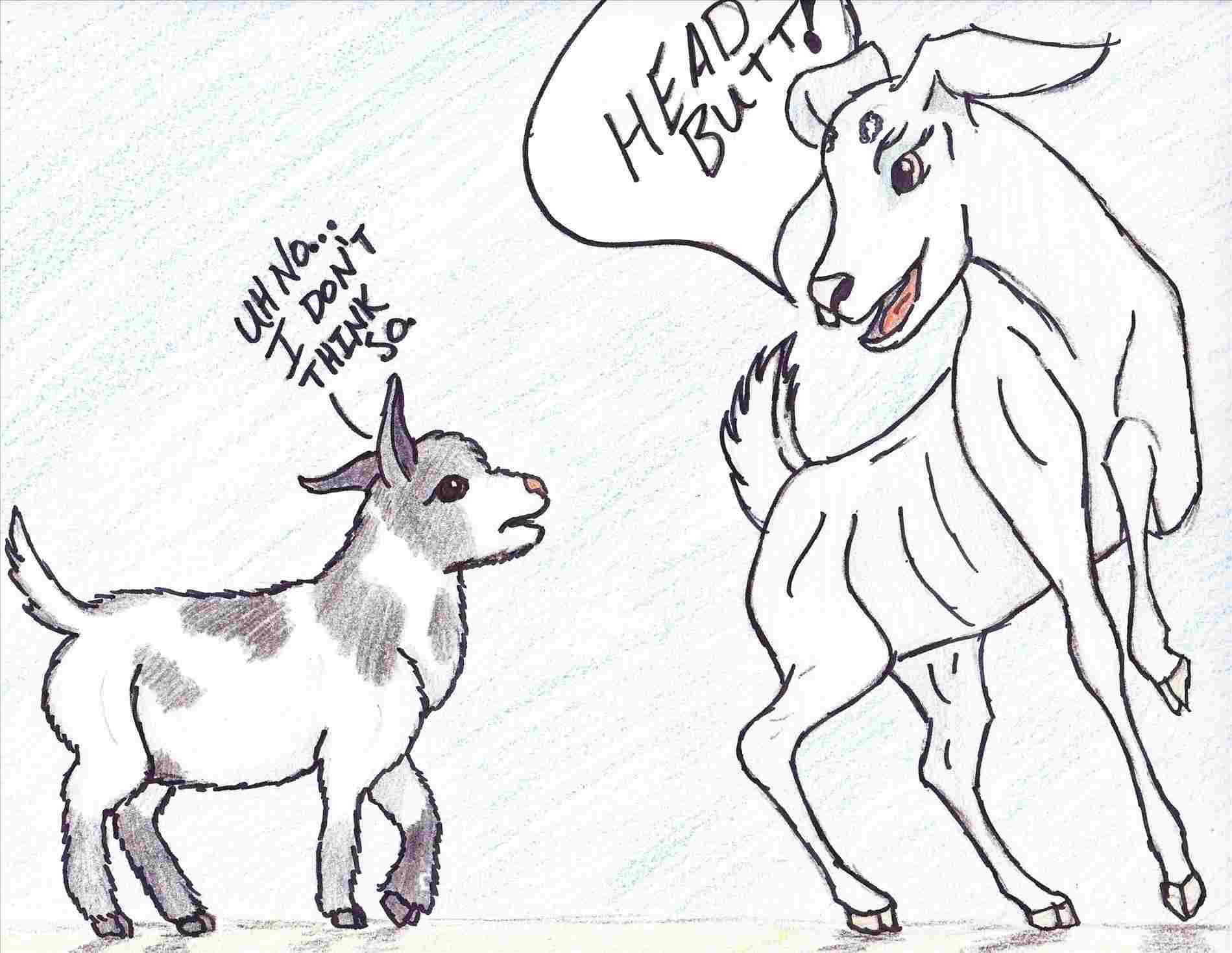 Goat Drawing Sketch