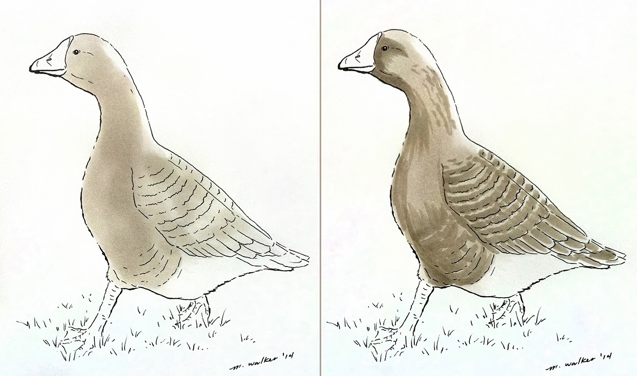Goose Drawing Amazing Sketch