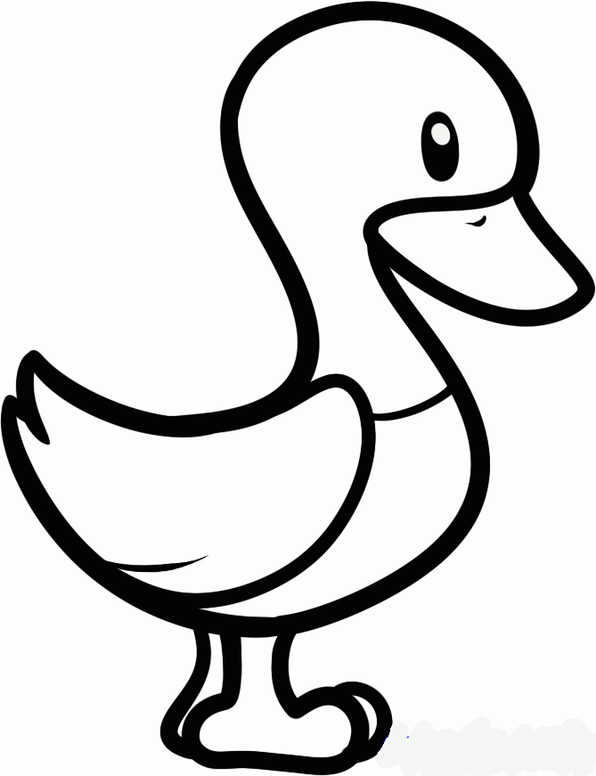 Goose Drawing Fine Art