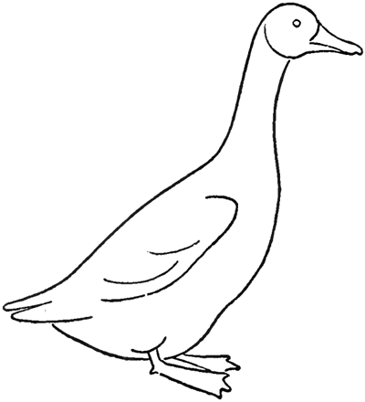 Goose Drawing Photo