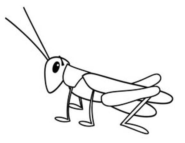 Grasshopper Drawing Creative Style