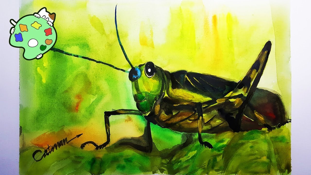 Grasshopper Drawing Professional Artwork