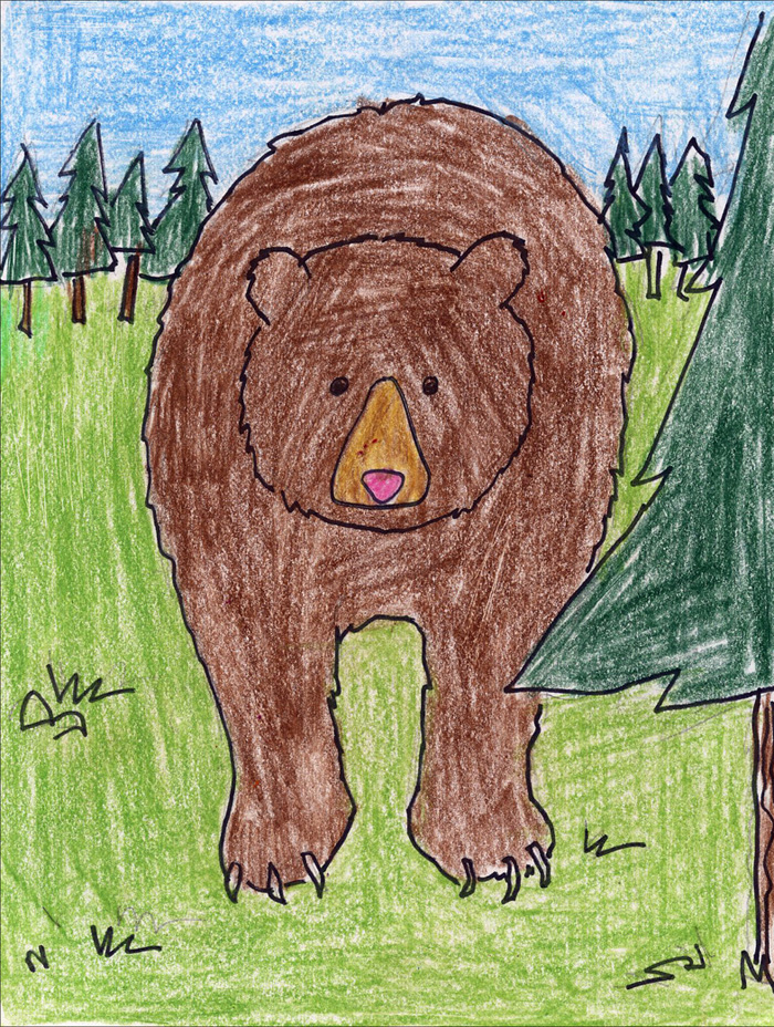 Grizzly Bear Drawing Creative Style
