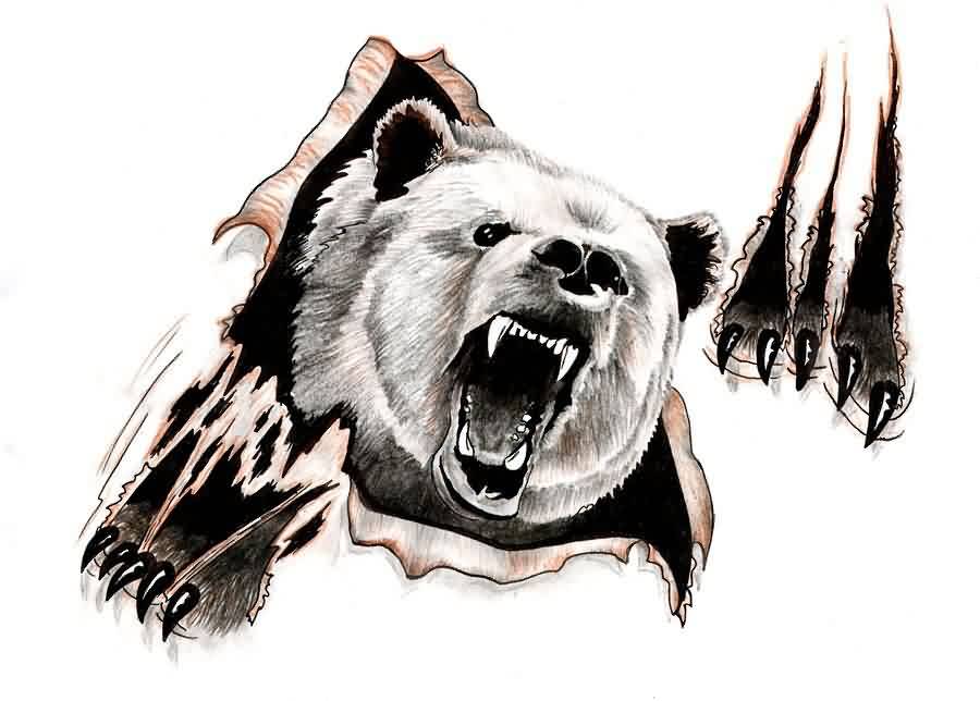 Grizzly Bear Drawing Hand Drawn Sketch
