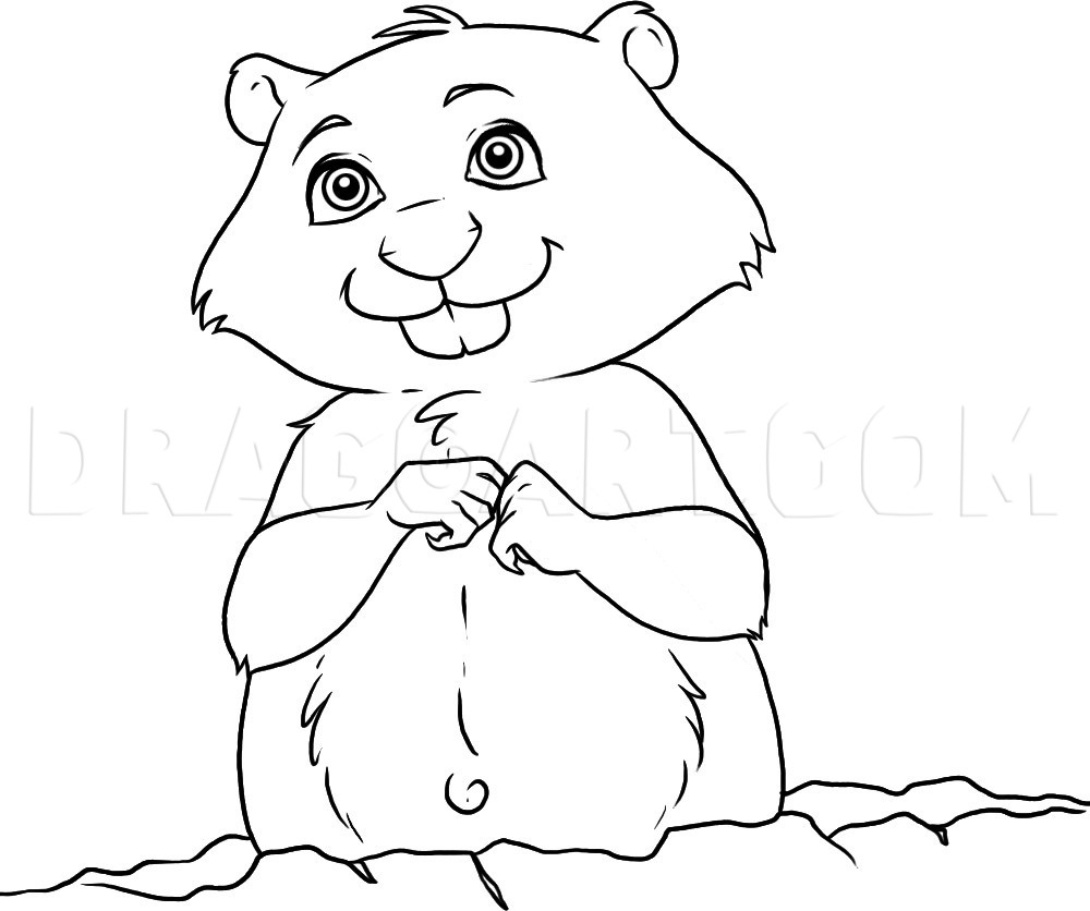 Groundhog Drawing Sketch