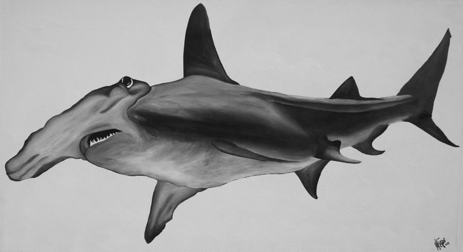 Hammerhead Shark Drawing Hand Drawn