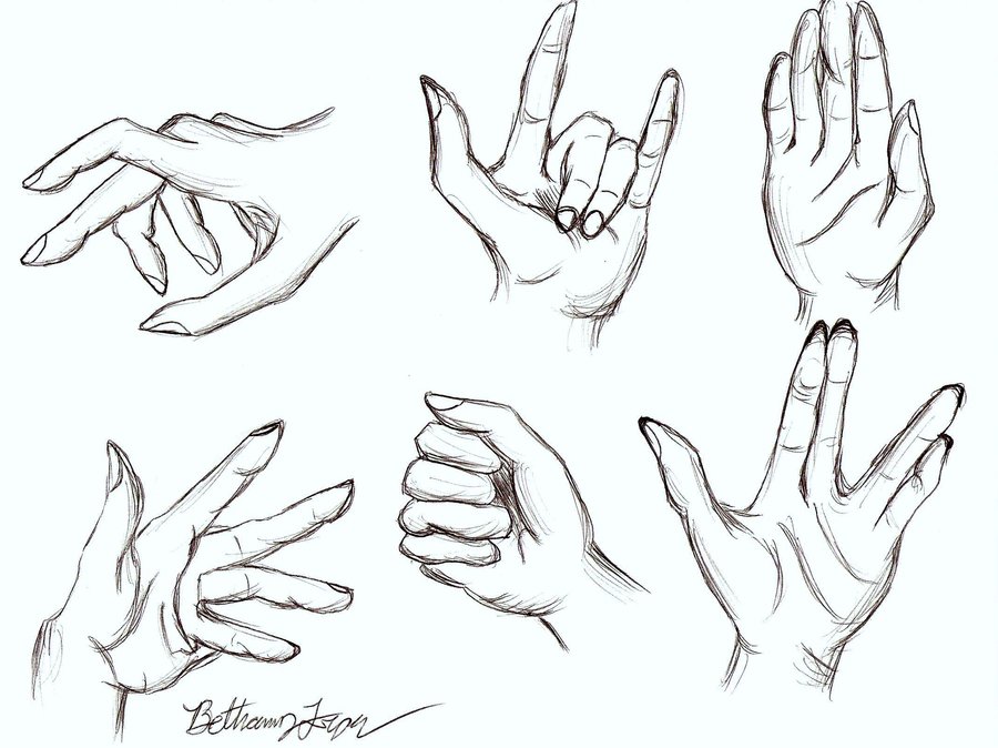 Hand Anatomy Drawing Hand Drawn