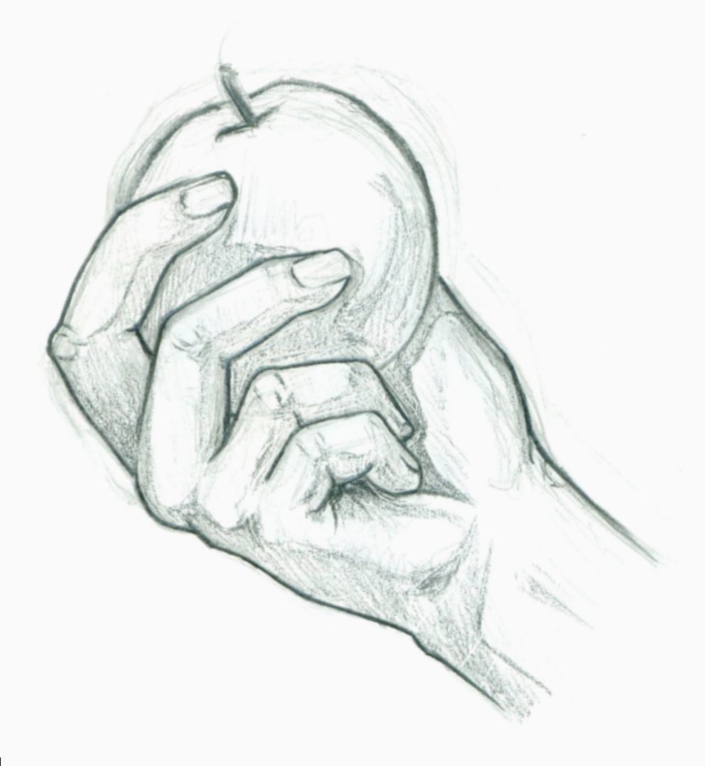 Hand Holding Something Drawing Hand Drawn Sketch