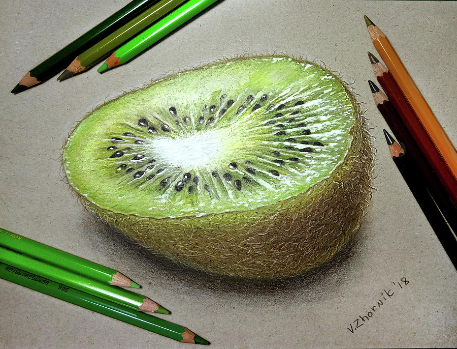 Kiwi Drawing Stunning Sketch