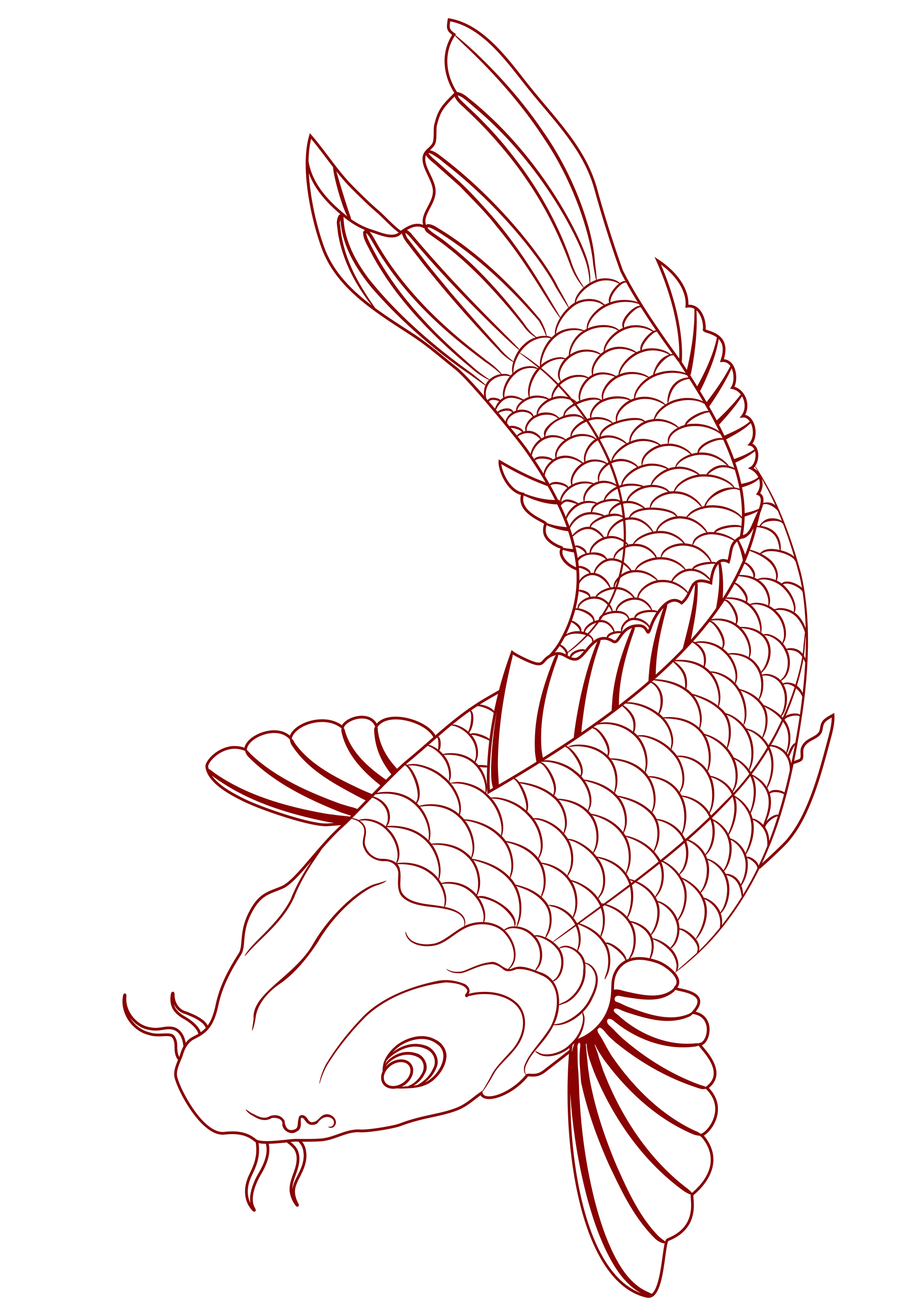 Koi Fish Drawing Image