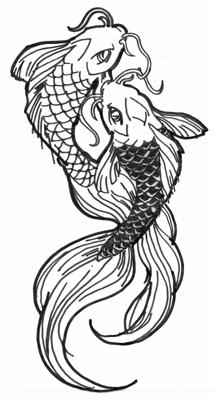 Koi Fish Drawing Modern Sketch