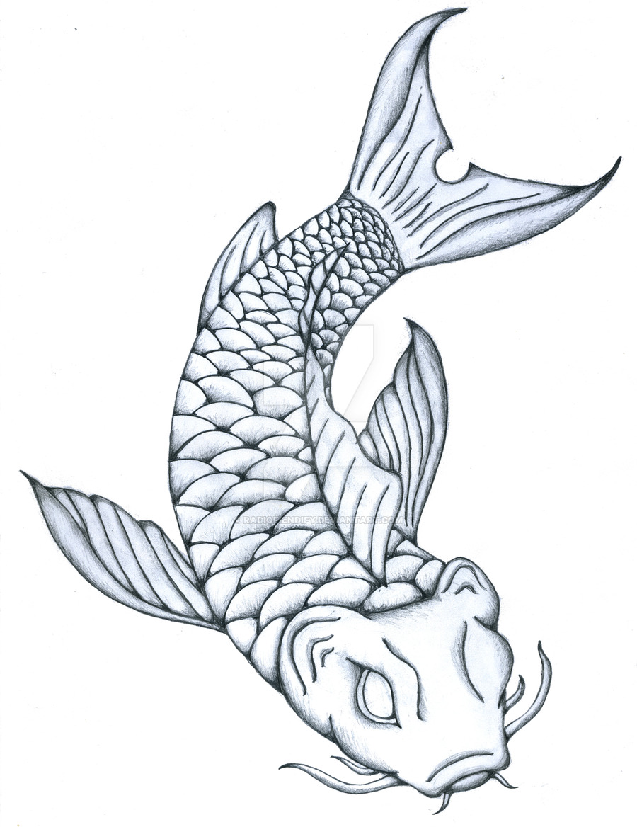 Koi Fish Drawing Picture