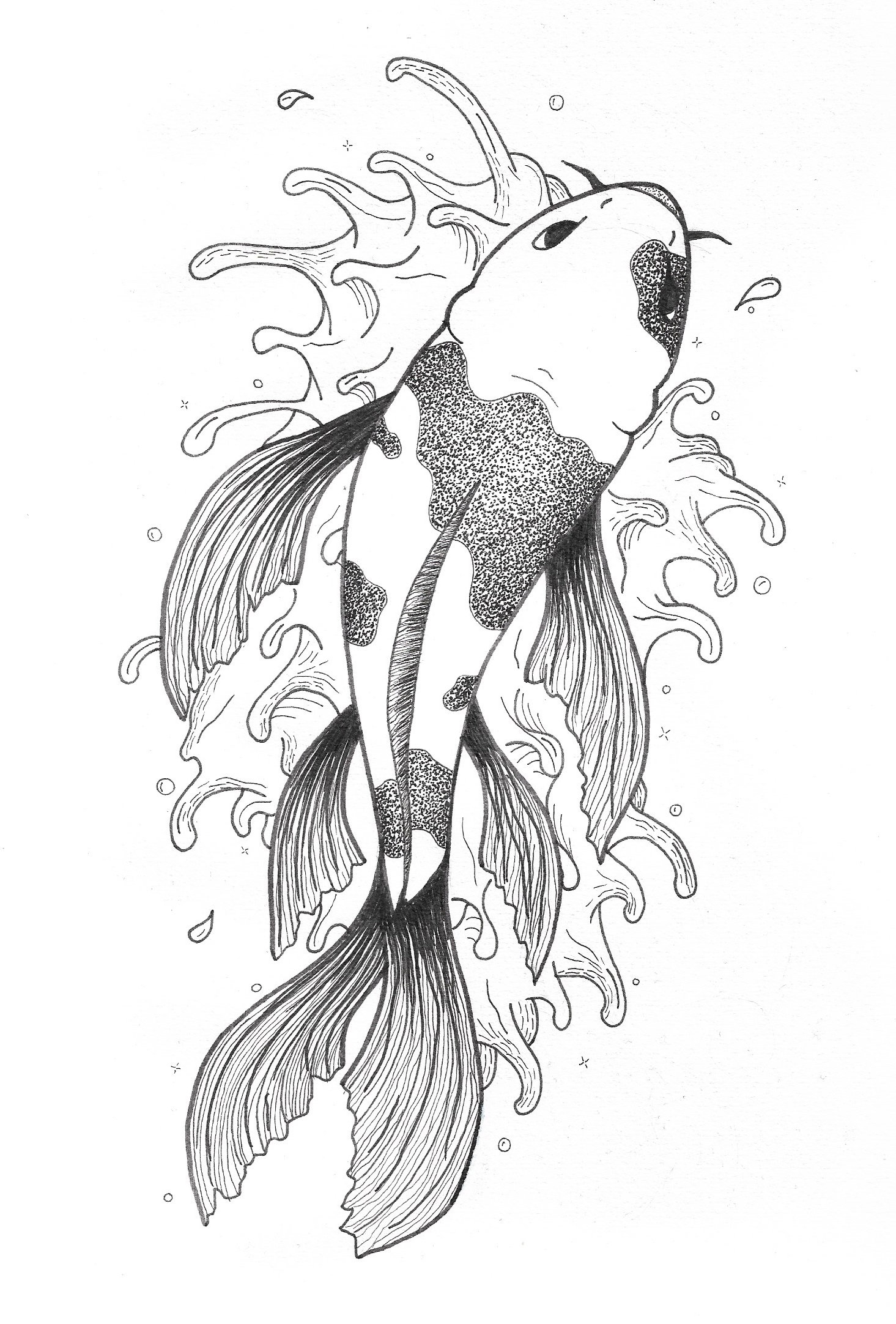 Koi Fish Drawing Professional Artwork