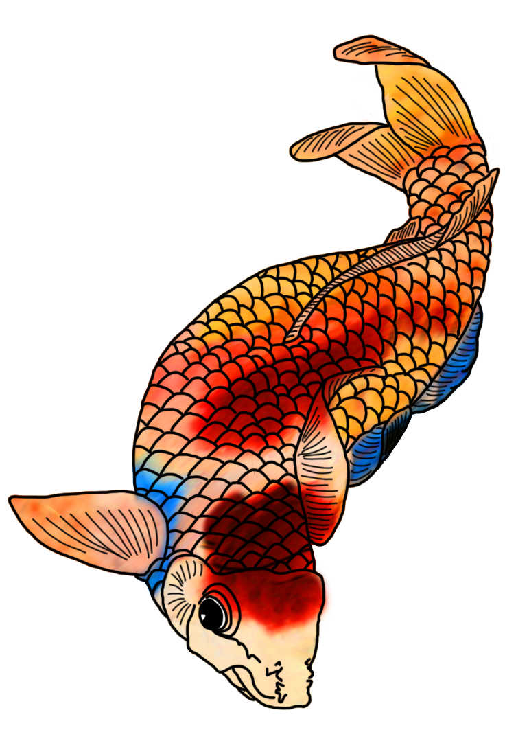 Koi Fish Drawing Unique Art
