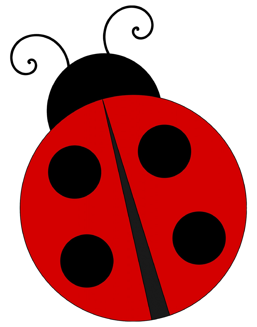 Ladybug Drawing Modern Sketch
