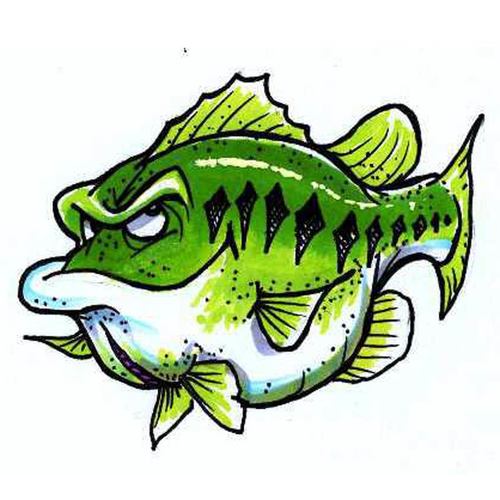 Largemouth Bass Drawing Art
