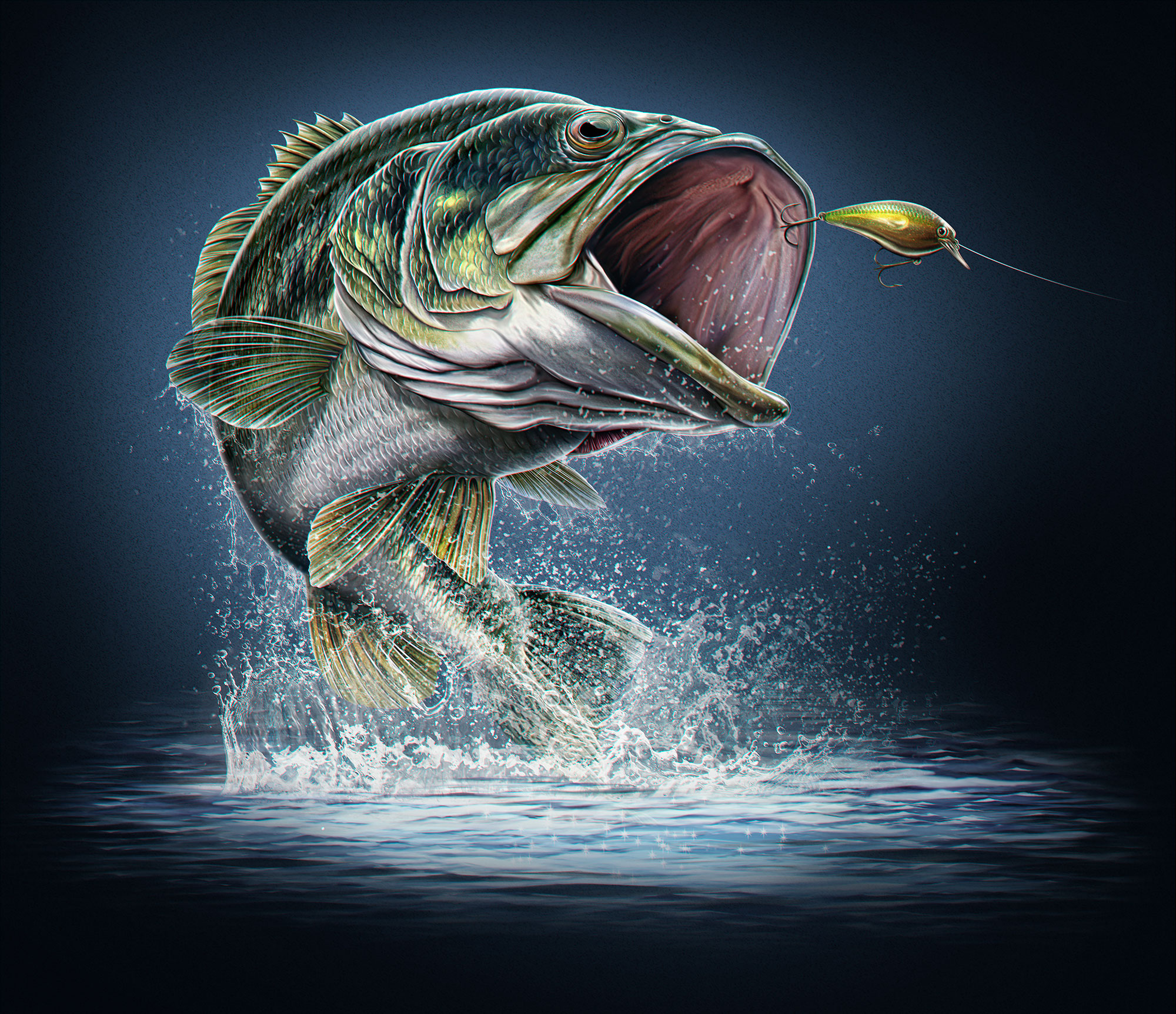 Largemouth Bass Drawing Image