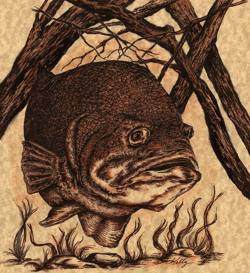Largemouth Bass Drawing Professional Artwork