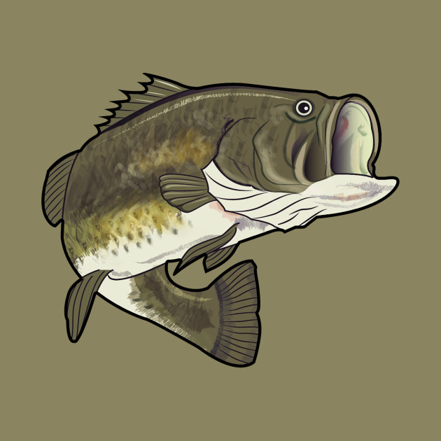 Largemouth Bass Drawing Sketch