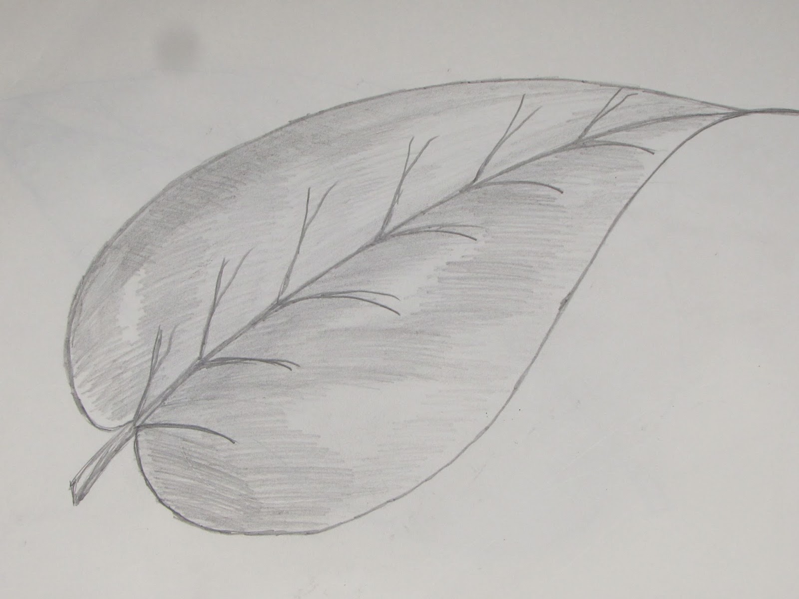 Leaf Drawing Amazing Sketch