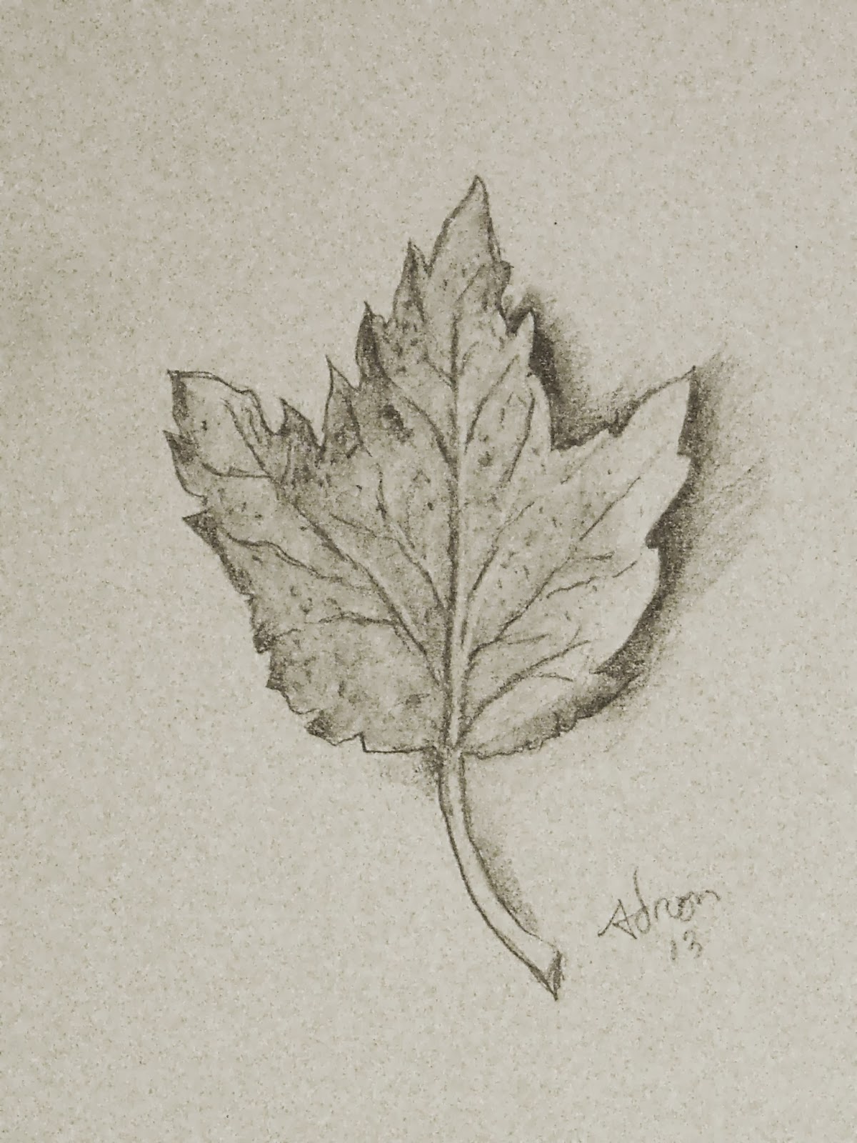 Leaf Drawing Sketch